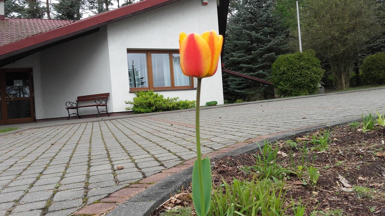 Osrodek Szkoleniowo - Wypoczynkowy Guzianka Hotel Ruciane-Nida Eksteriør billede