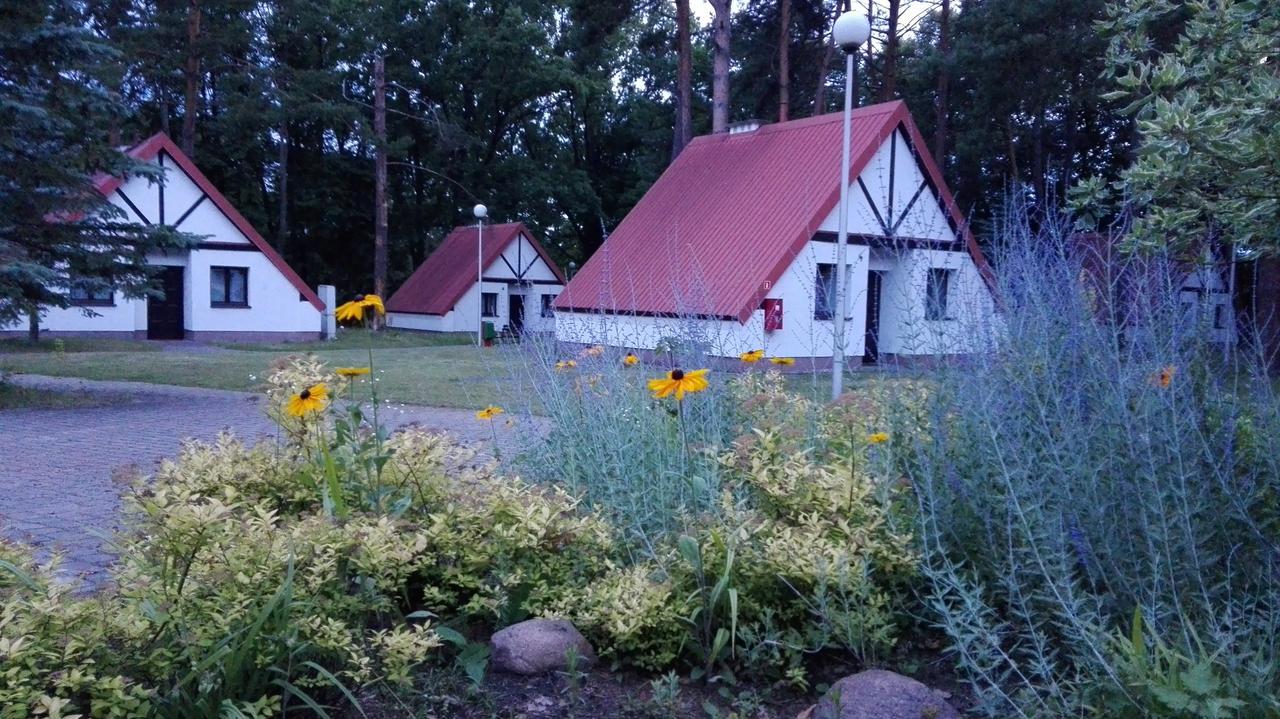 Osrodek Szkoleniowo - Wypoczynkowy Guzianka Hotel Ruciane-Nida Eksteriør billede